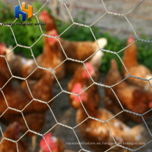 Menards valla de alambre de pollo para la granja de aves de corral.